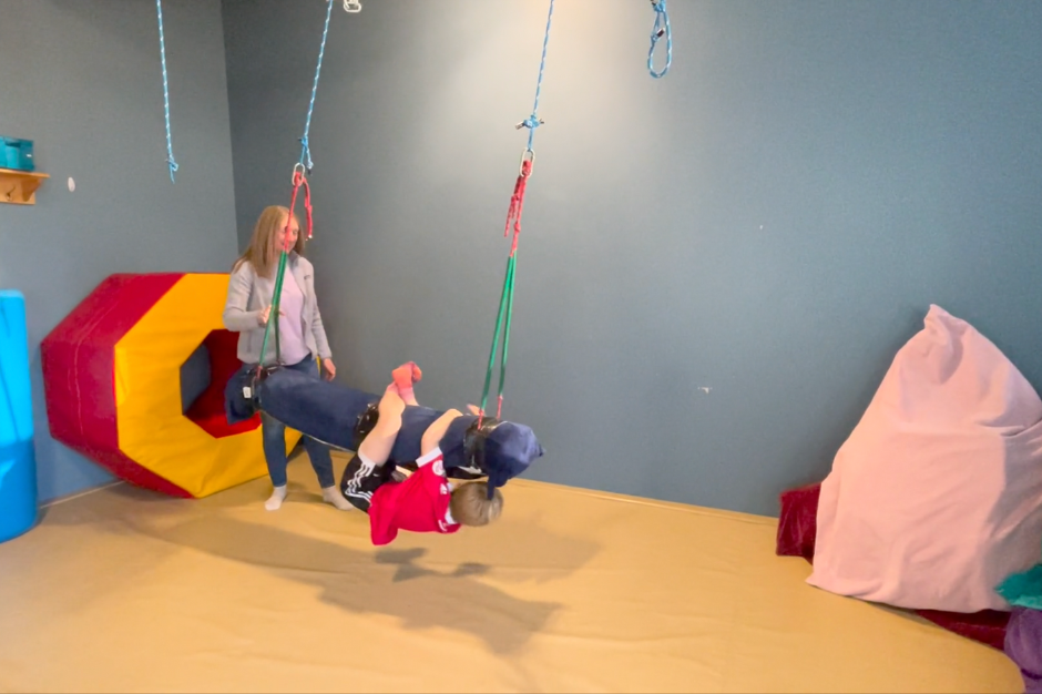 Introduction to Sensory Integration