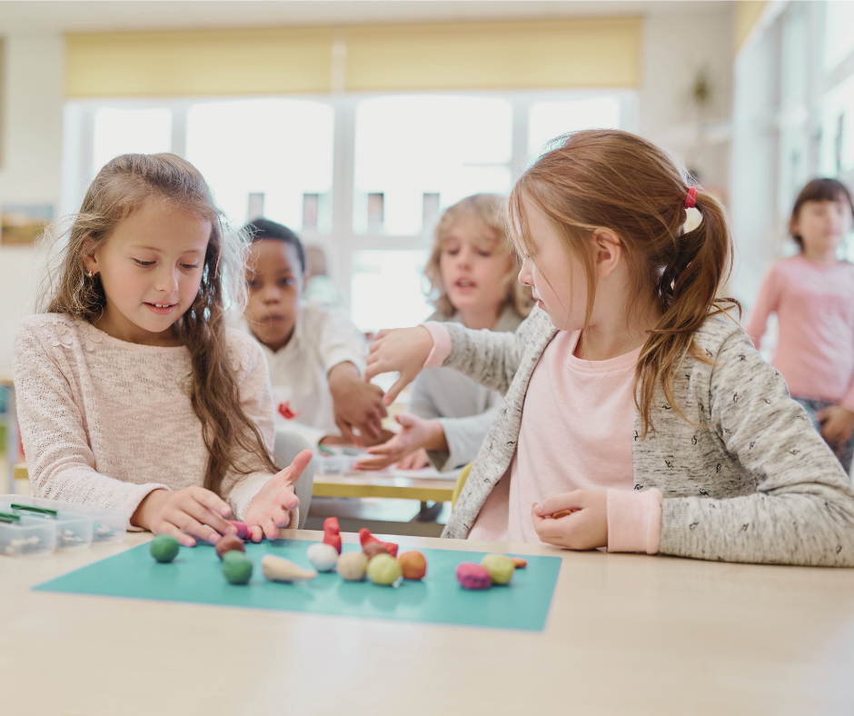 Mentoring in the Art of Therapy: Navigating Flow - Skillful Transition in Ayres Sensory Integration