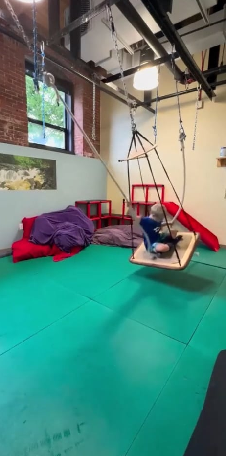 Virtual Equipment Lab: Bringing Together Practice and Clinical Reasoning