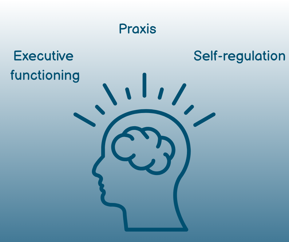Understanding Executive Functioning: A Primer for Occupational Therapists